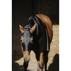 Protection de tête et encolure EQUITHÈME Lycra/Mesh