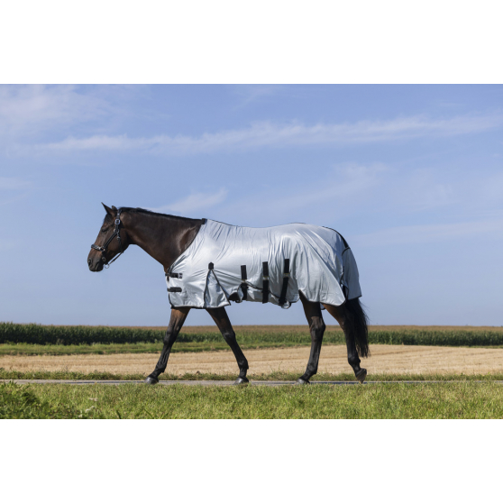 Chemise Riding World Belly Mesh - Standard