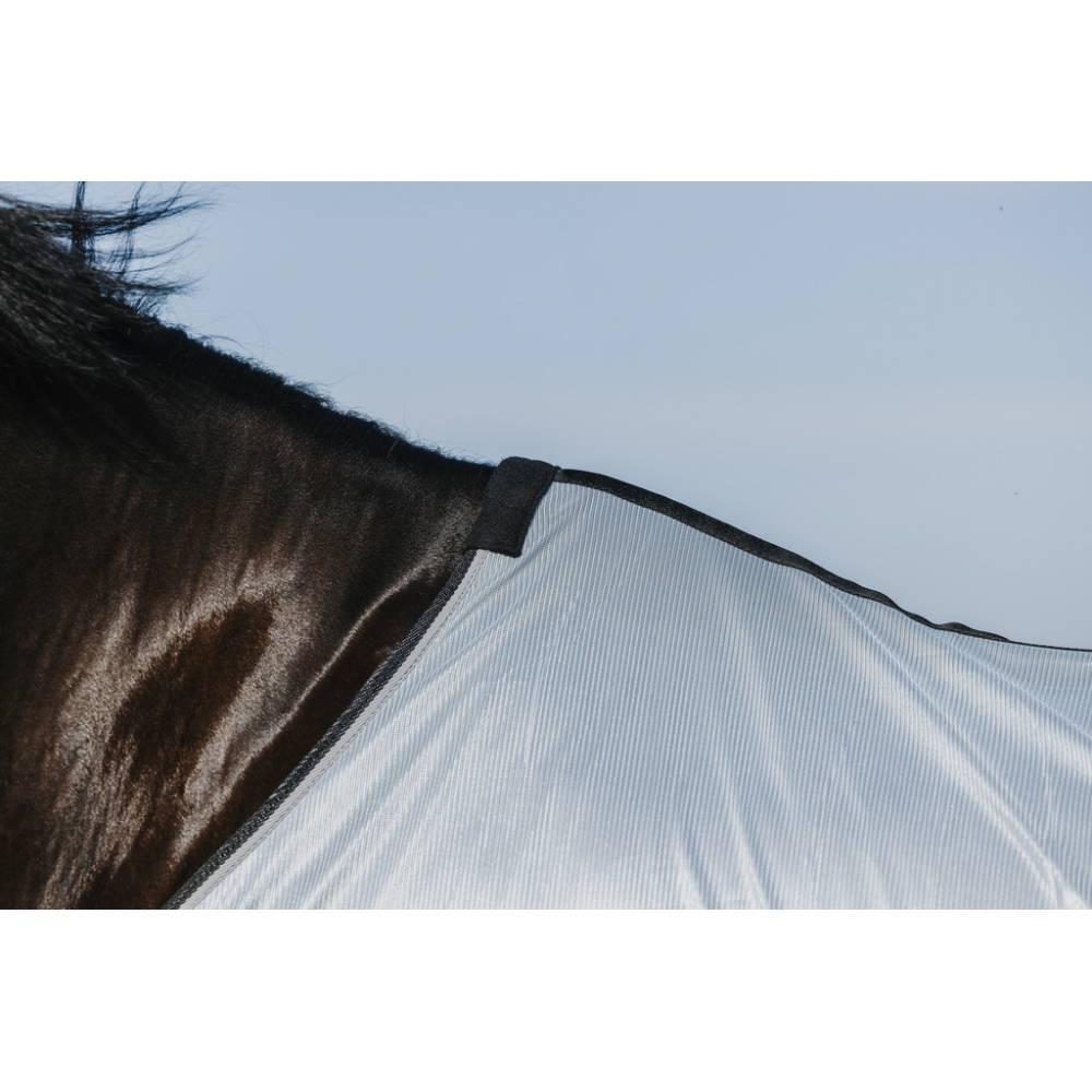 Riding World Belly Mesh Sheet - Standard - PADD - fly sheets - PADD