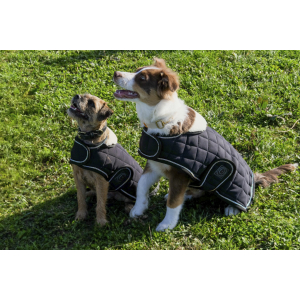 Couverture pour chien Je t'aime EQUITHÈME Velours