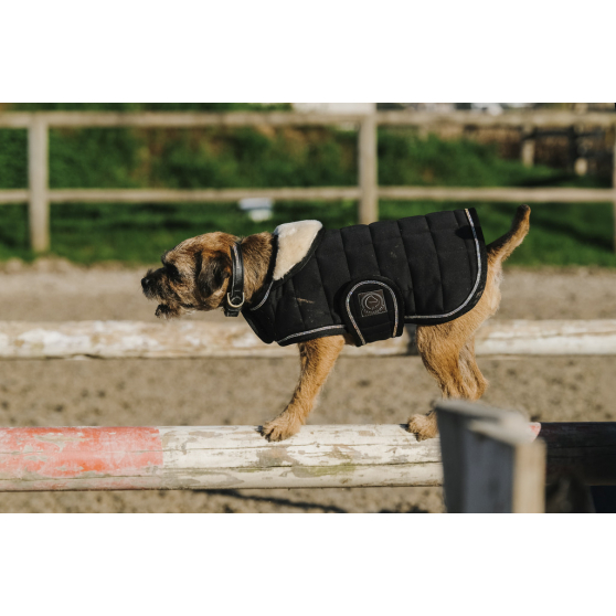 Je t'aime EQUITHÈME Velours Hundemantel