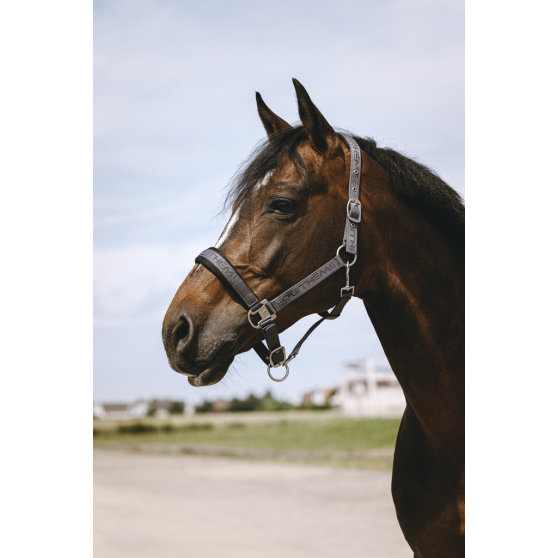 EQUITHÈME Jacquard Halter