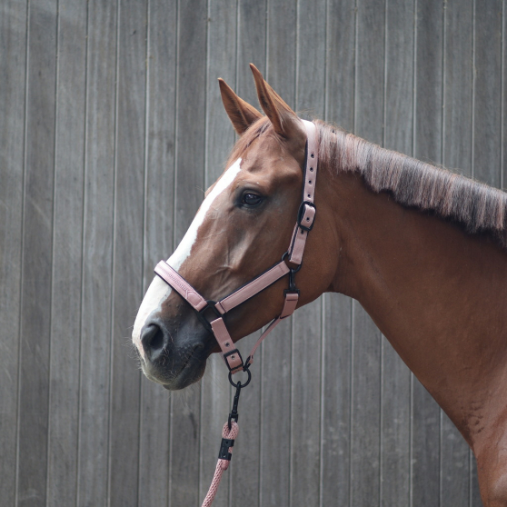 Lami-Cell Charming Hal­ter