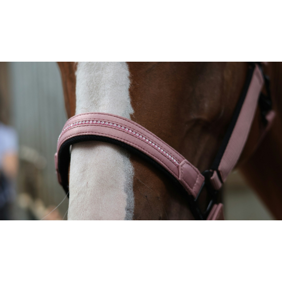Lami-Cell Charming Hal­ter