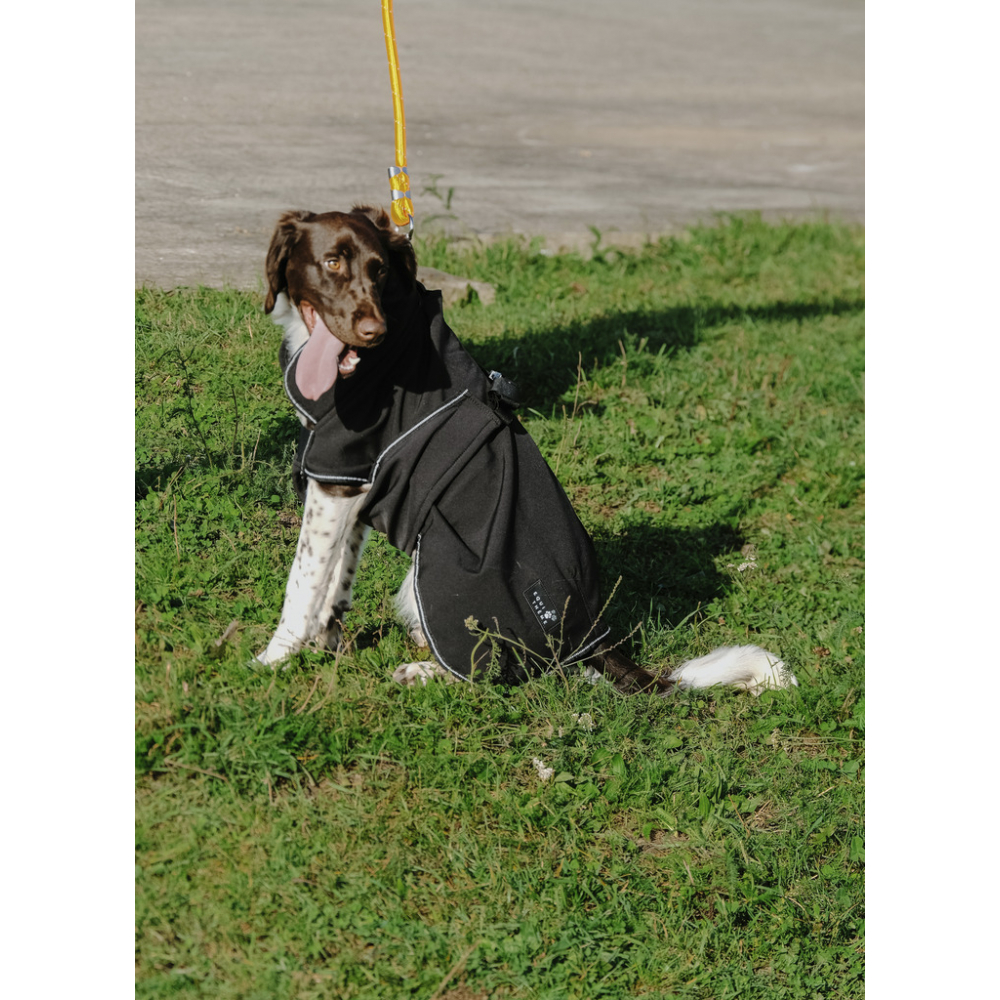 EQUITHÈME Softshell Hundemantel