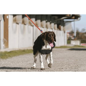 EQUITHÈME Softshell dog rug