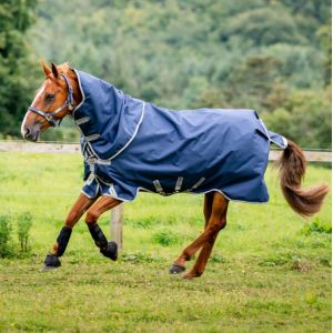 Horseware Amigo Bravo 12 Original Halsteil