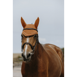 EQUITHÈME Hexalight fly veil