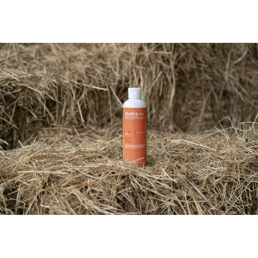 Huile de massage Alodis Care Work Recup