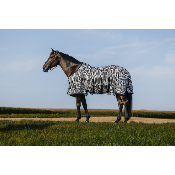 Riding World Belly Mesh Sheet - Standard