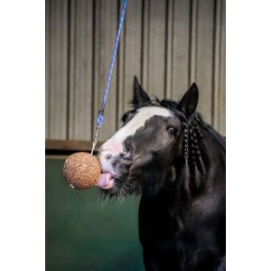 Likit Stall Ball Leckstein - leicht