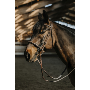Norton Pro Hunter Comfy Bridle