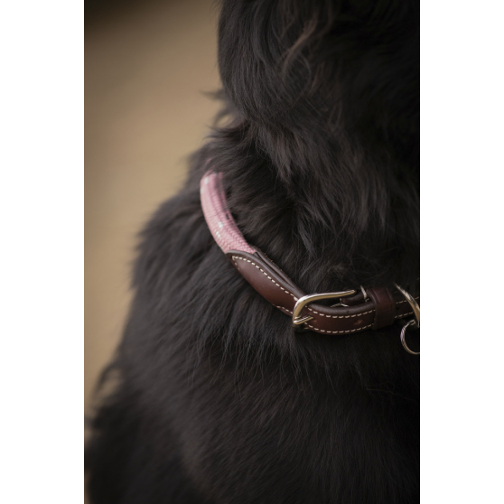 Collier pour chien Pénélope Billie