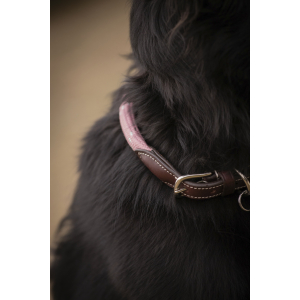 Pénélope Billie Dog Collar