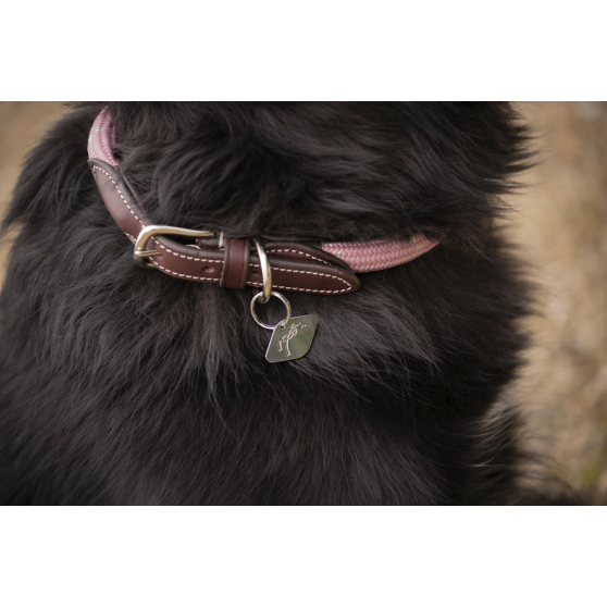 Pénélope Billie Dog Collar