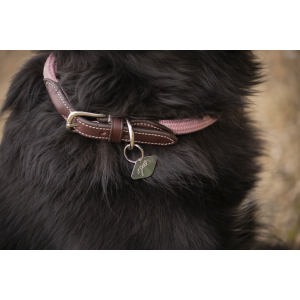 Collier pour chien Pénélope Billie