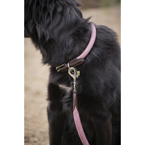 Collier pour chien Pénélope Billie