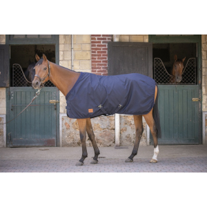 Paddock Sports Light Mesh Stalldecke