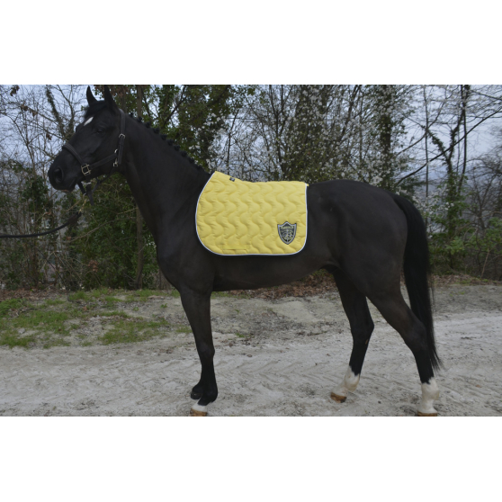 Tapis de selle Paddock Origine