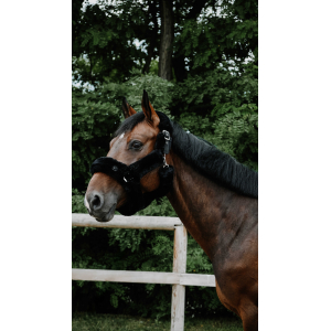 Halter Je t'aime EQUITHÈME...