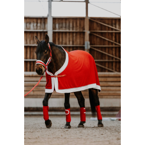 Chemise EQUITHÈME Xmas