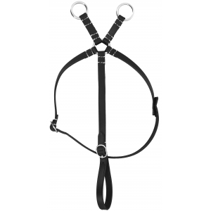 Pony Academy Mini-martingale