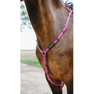 Norton Pop Breastplate