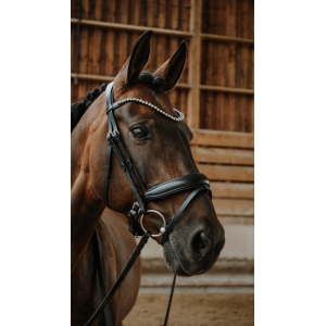 Norton Diams Bridle