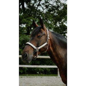 EQUITHÈME Halter - Glowy