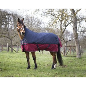 EQUITHEME “TYREX 1200 D” Turnout rug with high neck