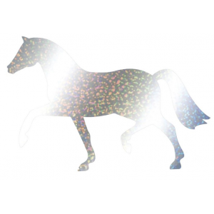 Application hologramme cheval
