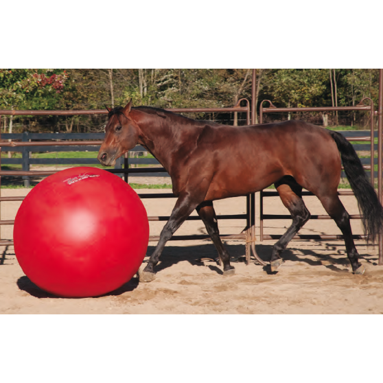 Ballon PLAY BALL pour chevaux