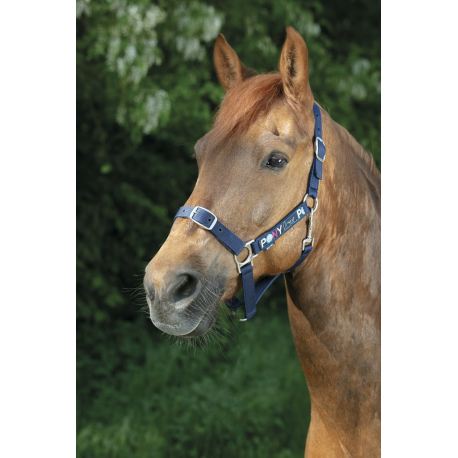 licol et longe pony love licol et longe pony love