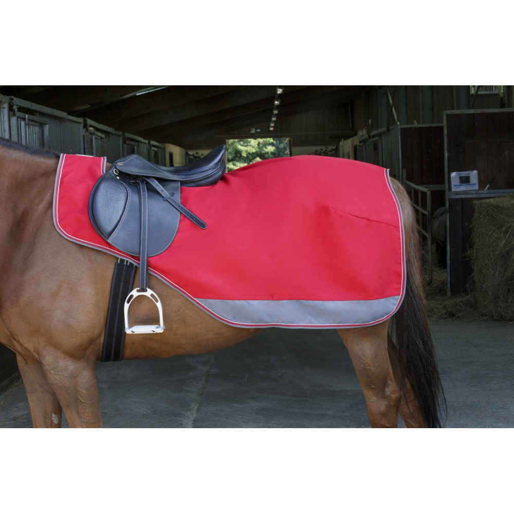 EQUITHEME Tyrex 1200D Nierendecke Mit Polarfleece Outdoor 