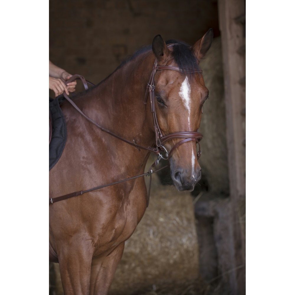 Norton Pro Short Elastic Side Reins with Pulleys elastic training