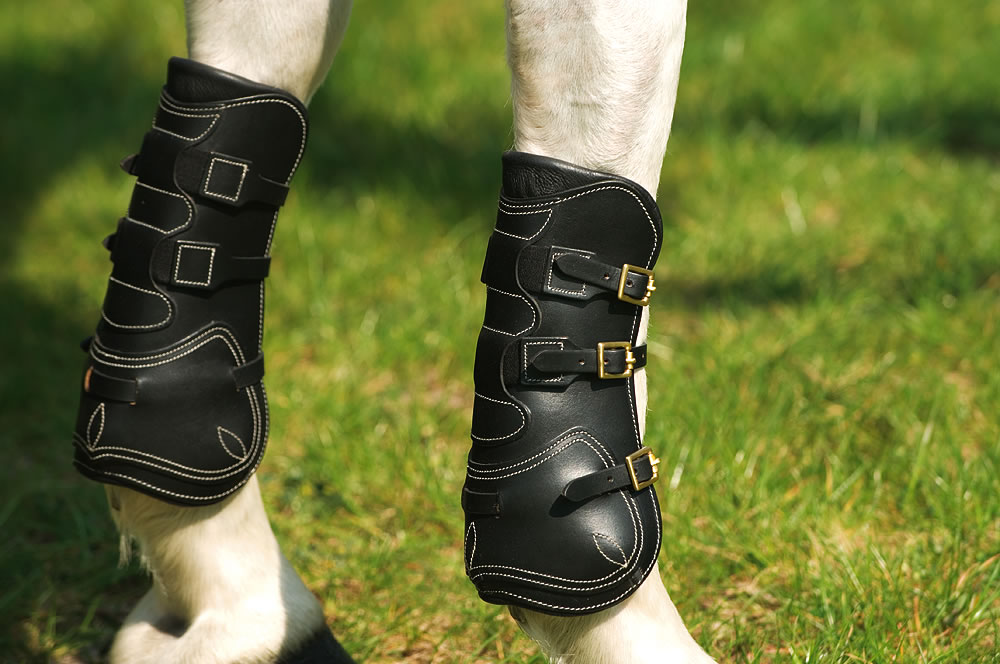 norton pro tendon boots