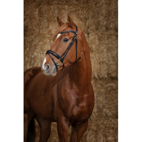 Bridon Norton Pro Gravure Bridon Norton Pro Gravure