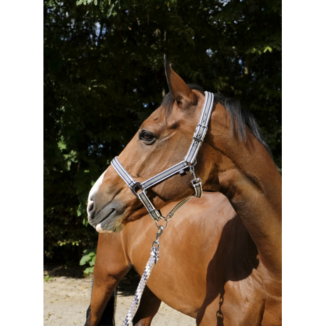 Licol EQUITHÈME Tyrex Licol EQUITHÈME Tyrex