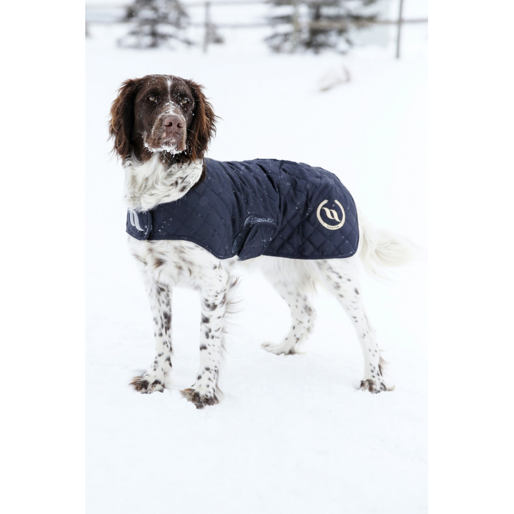Manteau pour chien Back on Track® Night Collection