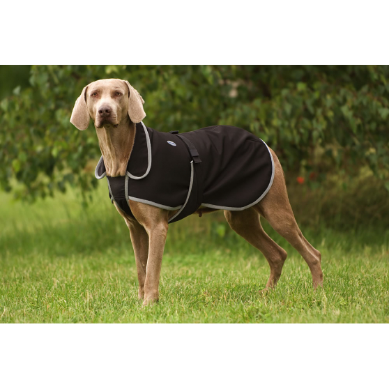 Diego & Louna Soft Shell-Hundemantel Diego & Louna Soft Shell-Hundemantel
