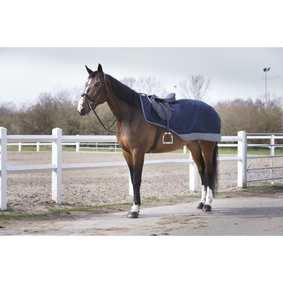 Equitheme HORSE PONY POLAR FLEECE EXERCISE RUG Sheet Colours/Sizes FREE DELIVERY 