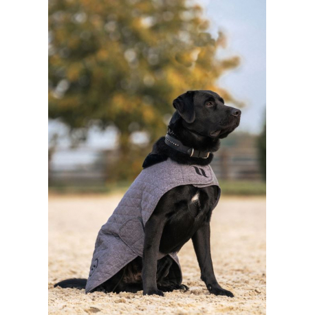 Couverture pour chien Back on Track Haze Collection Couverture pour chien Back on Track Haze Collection