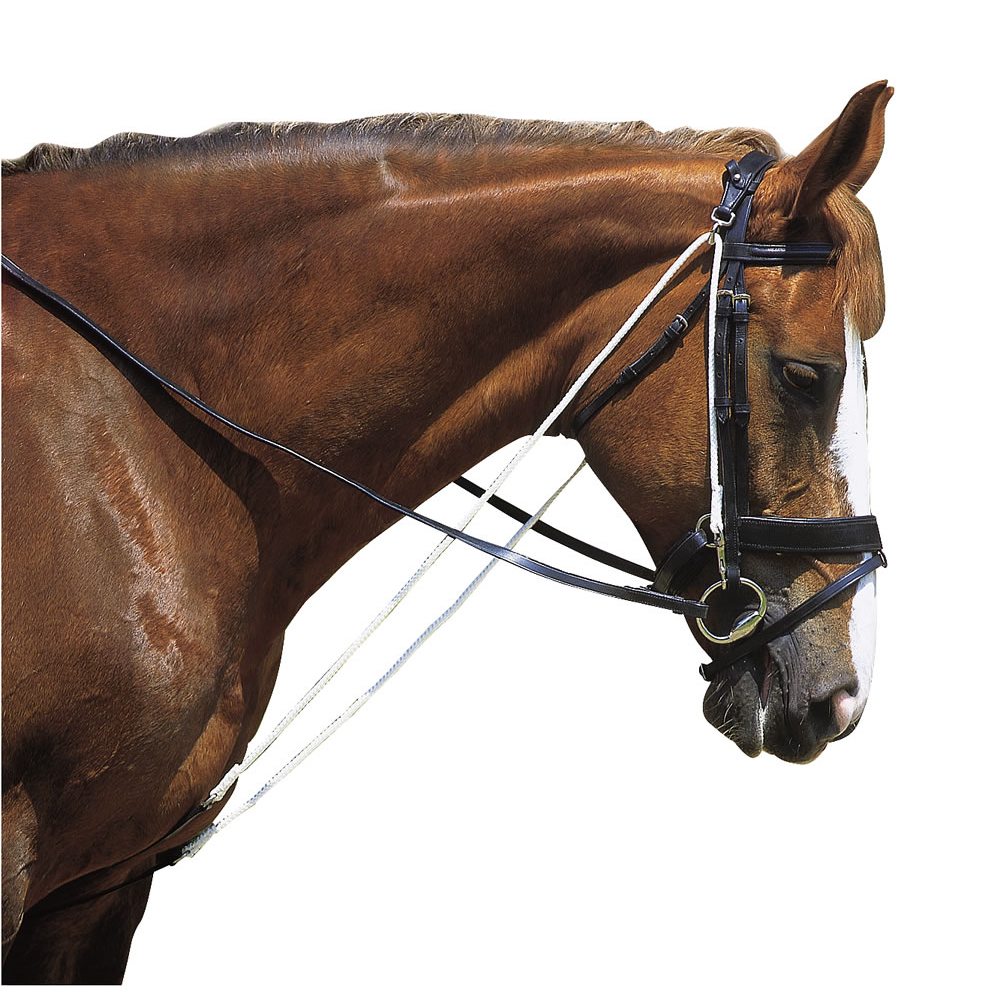 Excelsior Chambon with pulleys gogues PADD