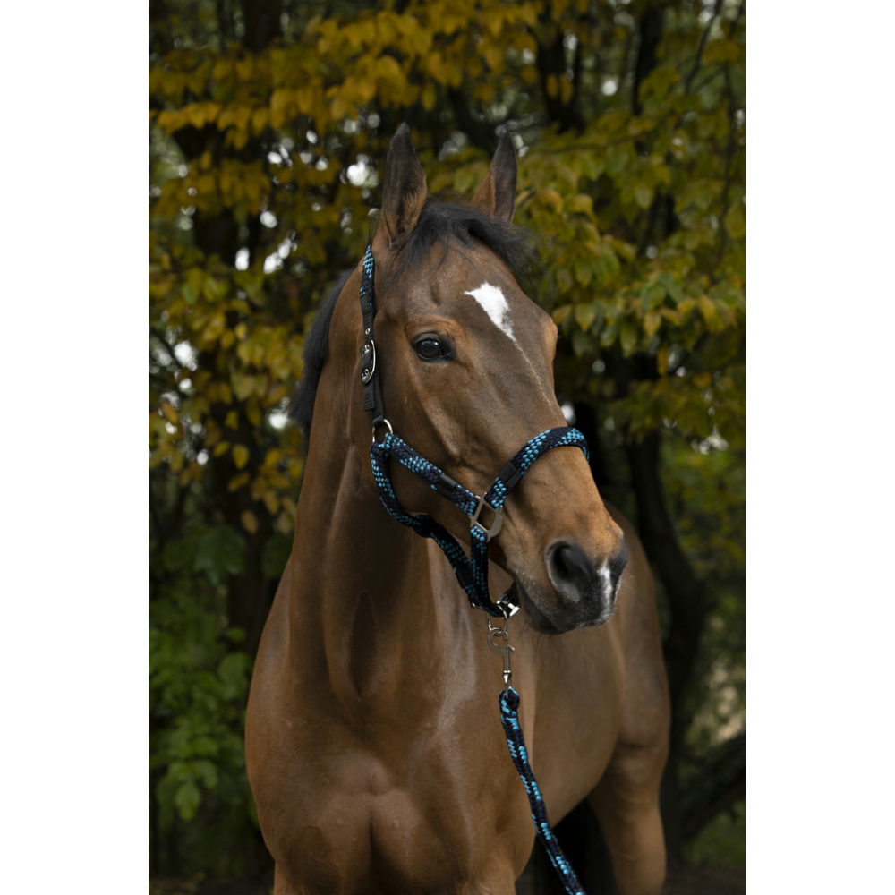 HORSE SMALL PONY LIGHT BLUE AND BROWN HEAD COLLAR & MATCHING LEAD ROPE SET 