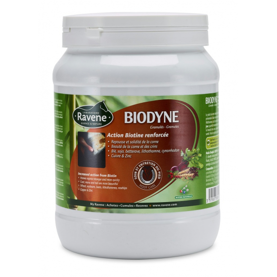 Biotine Ravene Biodyne