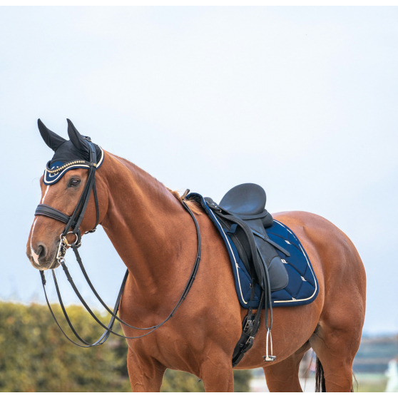 Chabraque vert Back on Track Night Collection - Dressage Chabraque vert Back on Track Night Collection - Dressage