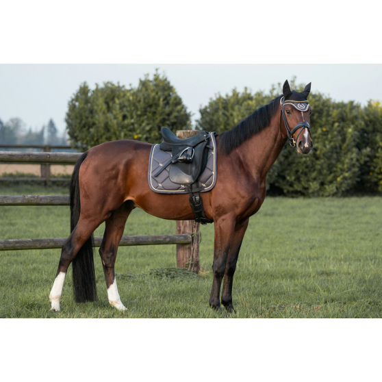 Chabraque vert Back on Track Night Collection - Dressage