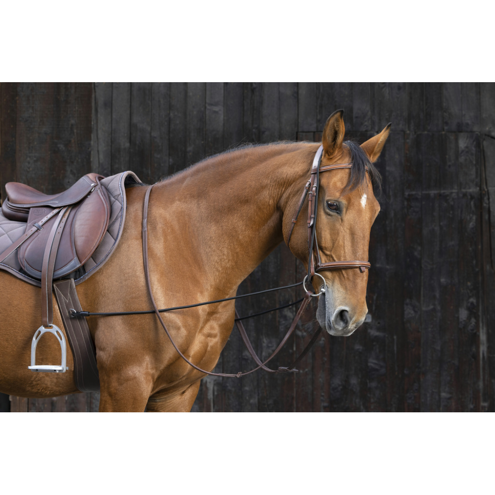 Elico Elasticated Training Reins Bungee, Horse, Pony, Equestrian, Black 