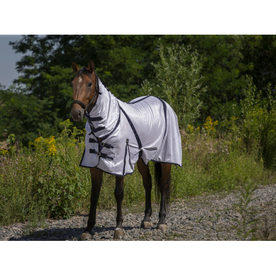 Chemise filet Norton Combo Chemise filet Norton Combo