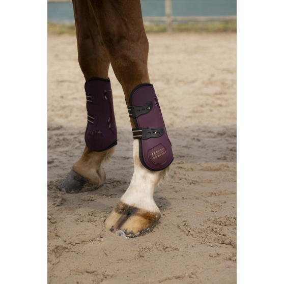 EQUITHÈME Oslo Fetlock Boots and Tendon Boots
